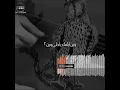 رابح صقر - عسى ماشر #رابحيات #عود
