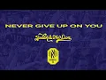 Download Lagu Judah \u0026 the Lion - Never Give Up On You (Nashville SC Lyric Video)