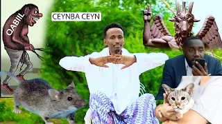 Ceynba Ceyn Dhaanto Cusub Abwaan Cabdi Baag New Video Official Kooxda Qaran Band 