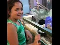 Dadventure Trip to BTJs Jungle - Long Island Pet Store