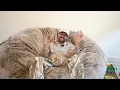 FANS ASK COUNTRY SINGER CRAZY QUESTIONS