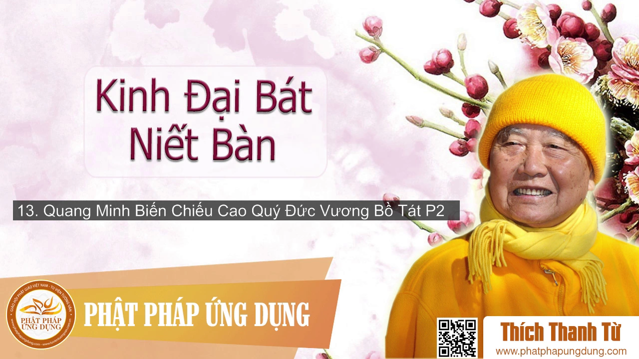 13 - Quang Minh Biến Chiếu Cao Quý Đức Vương Bồ Tát Phần 2 - Thích Thanh Từ- 
