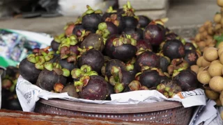Mangosteen, Xanthones, and Antioxidants. 