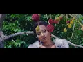 Burnaboy - Boshe Nlo [Official Video]