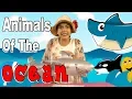 Animals Of The Ocean Language Learners
