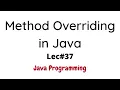 Method Overriding in Java with Solved Example