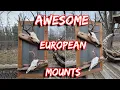 European Mount Ideas Goltine plaques