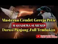 Download Lagu MASTERAN GEREJA PETIR ⚡ Masteran Cendet Petir MAHADEWA 🔴 Gerejanya Nyeret Panjang Asli Ngeri❗