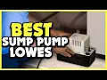 Best Sump Pump Lowes Of 2025 Reviews