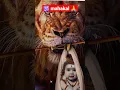 Download Lagu karpur gauram karunavtaram🕉️🙏/bambholle/mere baba/jai mahakal #bhole #tiktok #shorts