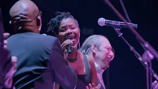 hans zimmer circle of life king of pride rock from the lion king live in prague 
