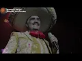 Vicente Fernández - Sublime Mujer (Letra)