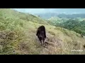 Download Lagu Pertapan kendali sodo gunung bekel