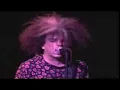 Melvins - Youth of America - Live