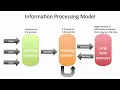 Decoding the Information Processing Theory and Why It Matters 3 Minutes