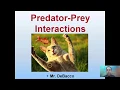 Predator Prey Interactions