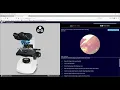 Using the V-Scope