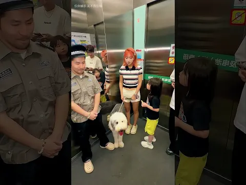 Kiedy jadę z moim psem windą, zawsze dochodzi do takich nieporozumień! 🐶😂