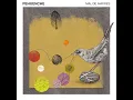 Mal de Amores - Pehuenche