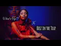 Lagu Nicki Minaj - Whats Up? X Beez In The Trap (Full Official Audio) 