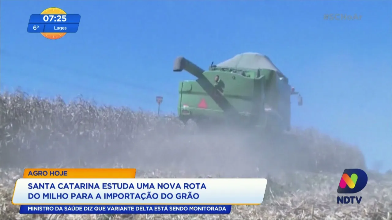Santa Catarina estuda uma nova rota do milho para a importação do grão
