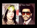 Birds Of a Feather X Save Your Tears Remix (Billie Eilish x The Weeknd mashup) TikTok Full Version
