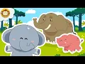 Download Lagu Lagu Anak Anak | Gajah 🐘 | Mengenal Binatang | BaLiTa | Baba Lili Tata #gajah #laguanakindonesia