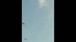 الضحى من نور من ابتهالات نصر الدين طوبار حالة واتس 