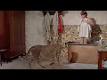 Download Lagu Cheetah in the Bathroom Scene | HATARI! ('62) 🐆