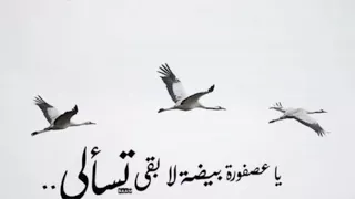 على مين الملامة        دندنها