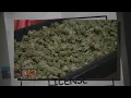 A Sneak Peak Into Maryland s First Medical Marijuana Dispensary