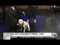 Fostering with Cincinnati Animal CARE