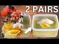 I Tried Breeding TWO Betta Pairs in Tubs