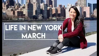 Download Life in New York - March (24k gold matcha soft serve, mochi donuts and Roosevelt Island) MP3