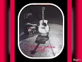 Sandro "Guitarras al viento "