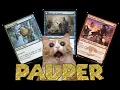 A Beginner s Guide to the Pauper Format