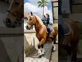 Lagu ABIZAR DAN IBU NAIK KUDA PONI🐎