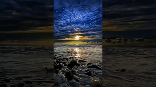 سورة الإنسان بصوت القارئ محمد اللحيدان  سورة الإنسان بصوت القارئ محمد اللحيدان