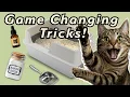 I Wish I Knew These 9 Litter Box Hacks Years Ago Total Game-Changer