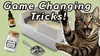 I Wish I Knew These 9 Litter Box Hacks Years Ago Total Game-Changer