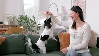 Freshpet Custom Meals Fresh Dog Food Home Delivery