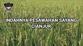 Download INDAHNYA PESAWAHAN SAYANG CIANJUR | Instrumen Kecapi Suling Sunda MP3