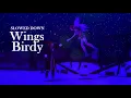 Birdy - Wings [slowed down]