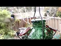 HummerVisions of Luis D Lion - 29 Jun 2022 1800 PDT
