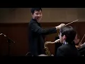Stardust - Charles Chen Orchestra