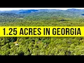 Land For Sale 1 25 Acres in Gilmer County GA Owner Financing Available