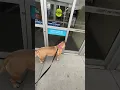 Waiting for Petco to open