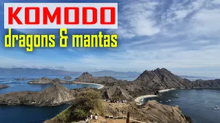 E224 – Komodo Part 2: Dragons, Mantas & Insane Currents