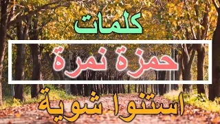 حمزة نمرة   استنوا شوية  كلمات       دندنها