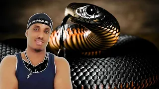 ILKACASE QAYS BLACK MAMBA JAWAABTII WAAYAHA CUSUB 2020 Official LYRIC VIDEO 
